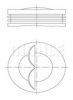 PERFECT CIRCLE 56 06178 0 Piston